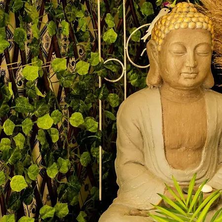 게스트하우스 Paz & - Peace & 나자레