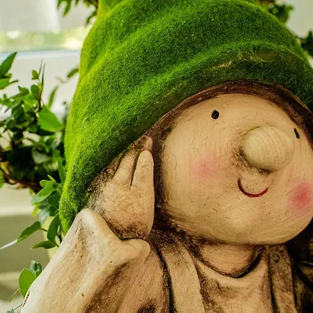 Gasthuis Paz & - Peace & Nazaré