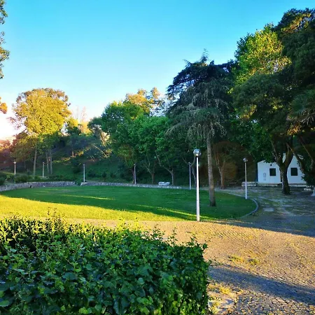 Paz & - Peace & Nazaré