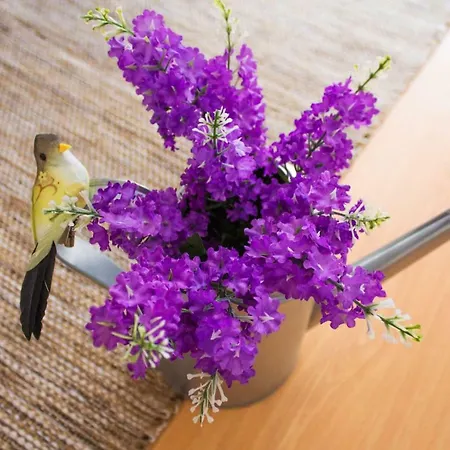 Gasthuis Paz & - Peace & Nazaré