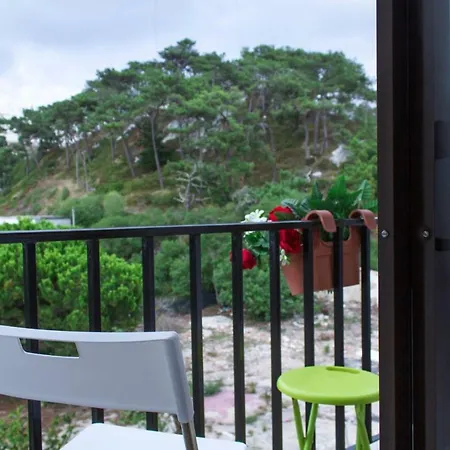 Paz & - Peace & Gasthuis Nazaré